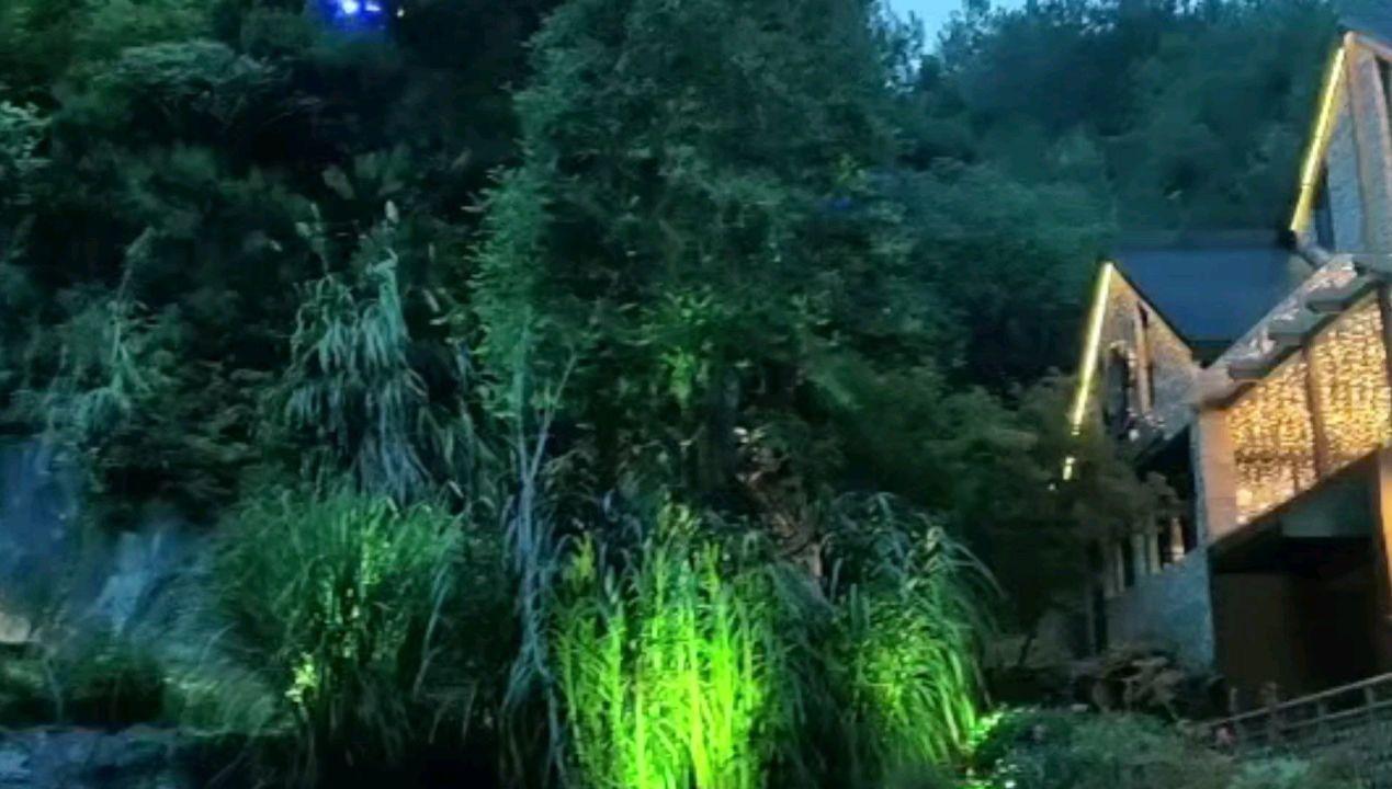 新房装修怎么快速去甲醛-专业有问必答平台